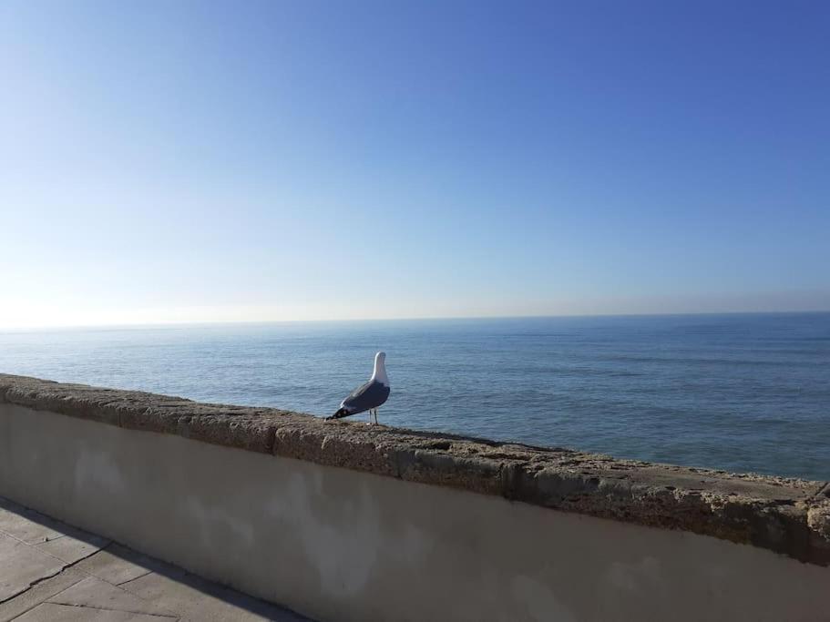 Apartamento Mar y Sol Cádiz Exterior foto